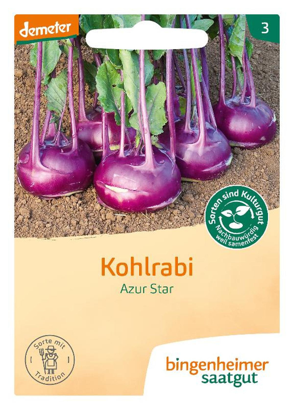Produktfoto zu Saatgut Kohlrabi blau Azur Star