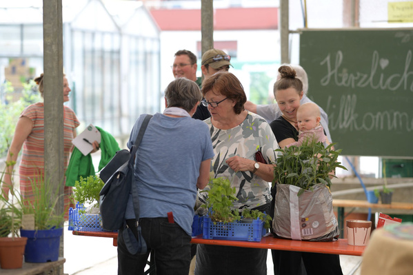 Eine Gruppe von Menschen steht an einem Informations- oder Verkaufsstand, auf dem verschiedene Pflanzen und Produkte ausgestellt sind. Sie scheinen sich zu unterhalten und Produkte zu betrachten.
