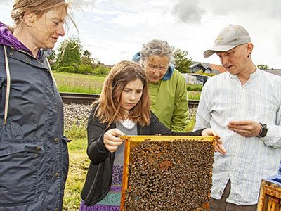 Vier Personen begutachten ein Bienenvolk auf einer Honigwabe im Freien.