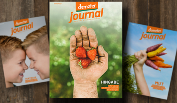 Produktfoto zu Demeter Journal
