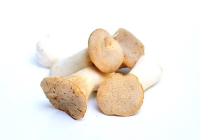 Produktfoto zu Pilze Kräuterseitlinge