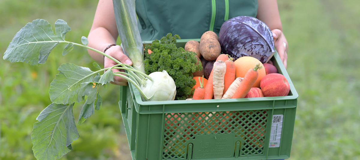 Ein Liefermitarbeiter im grünen T-Shirt mit 'Deckers Biohof' Logo hält eine grüne Kiste gefüllt mit frischem Obst und Gemüse, darunter Salat, Äpfel, Birnen, Zucchini, Brokkoli und Kiwis, bereit zur Lieferung.