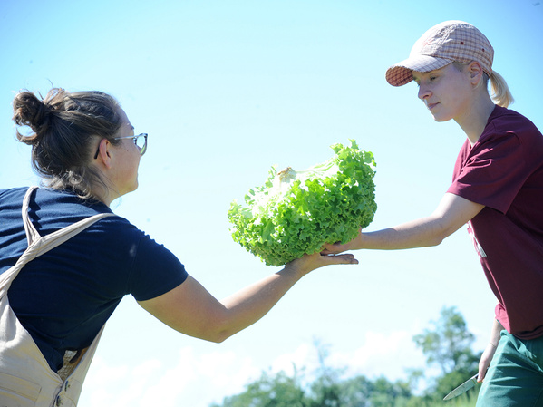 Eine Frau in einem Latzrock überreicht einer anderen Person, die eine rote Jacke und eine Kappe trägt, einen großen Kopf frischen, grünen Salat. Beide Personen lächeln.