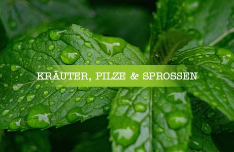 Kräuter Pilze und Sprossen