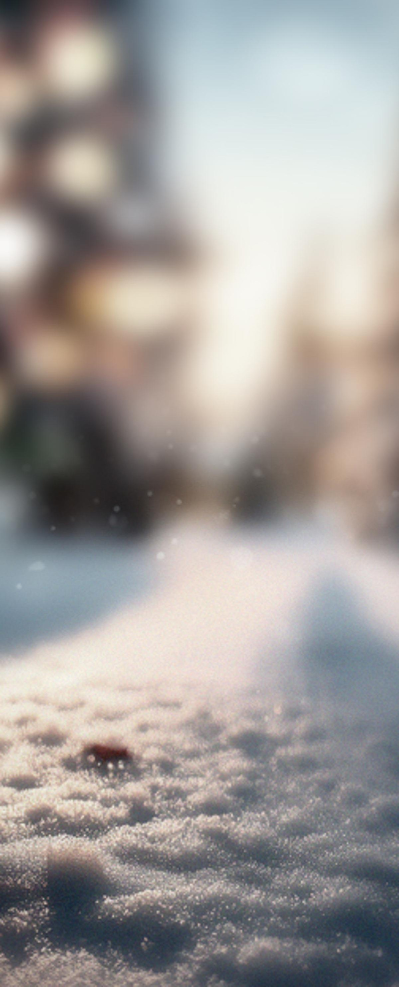 Monatsangebot Dezember