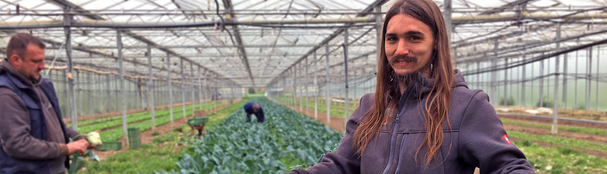 Ein Mann mit einem Bart und langen Haaren, der eine Kapuzenjacke trägt, lächelt direkt in die Kamera. Er steht in einem großen Gewächshaus, das mit Reihen von grünen Pflanzen gefüllt ist. Im Hintergrund sind zwei weitere Personen bei der Arbeit zu sehen.
