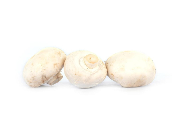 Produktfoto zu Pilze Champignons weiß