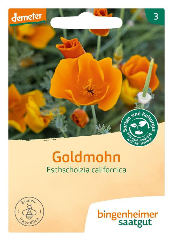 Produktfoto zu Saatgut Blumen Goldmohn