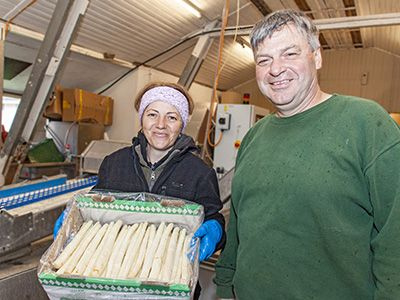 Zwei Personen stehen nebeneinander, vor ihnen eine Kiste mit frisch geerntetem weißen Spargel.