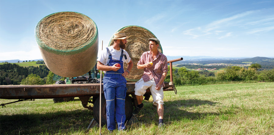 Zwei Bauern stehen auf einem Feld mit Heurollen, die auf einem Anhänger oder landwirtschaftlichen Gerät befestigt sind. Der Mann links trägt eine blaue Latzhose und einen Strohhut. Der Mann rechts trägt ein kariertes Hemd, kurze Hosen und eine Schiebermütze. Beide halten Äpfel in den Händen und blicken sich an, als würden sie sich unterhalten. Im Hintergrund erstreckt sich eine hügelige Landschaft mit Wäldern und Feldern unter einem weiten blauen Himmel.