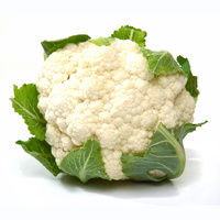 lumenkohl mit grünen Blättern auf weißem Hintergrund.