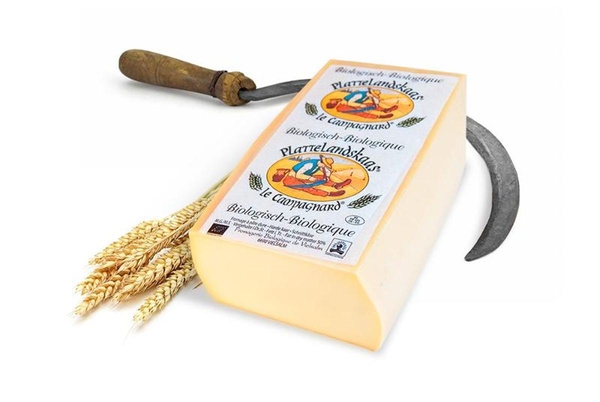 Produktfoto zu Plattelandskaas - letzte Chance, nur so lange der Vorrat reicht!