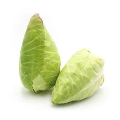 Produktfoto zu Spitzkohl kg