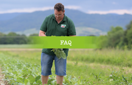 Christoph Decker in grünem Hemd steht auf einem Feld und betrachtet die Pflanzen, mit einem grünen Banner überlagert, auf dem 'FAQ' steht.