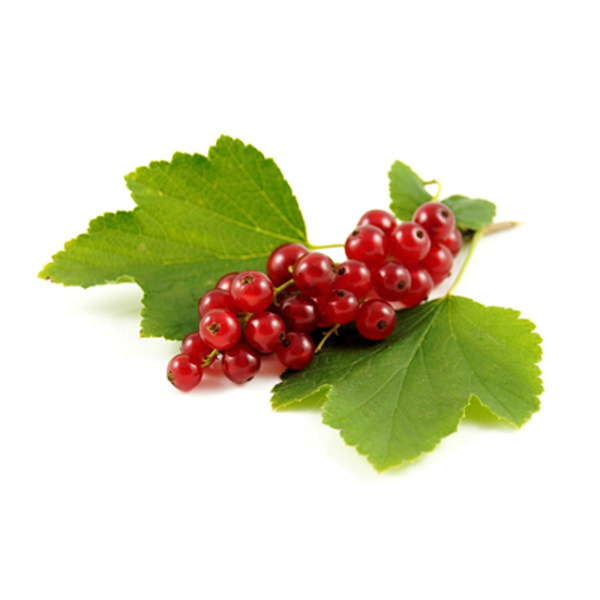 Produktfoto zu Johannisbeeren rot, 200 g