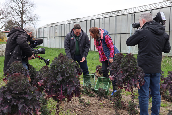 Eine Frau im roten Karohemd und ein Mann zeigen grünes Gemüse im Feld, während zwei Kameramänner mit großen Filmkameras die Szene aufnehmen.