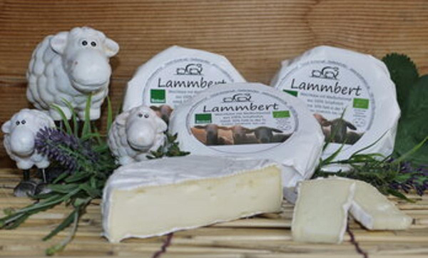 Produktfoto zu Lammbert Schaf Weichkäse, ca. 250 g